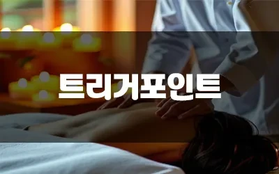 트리거포인트위치.webp