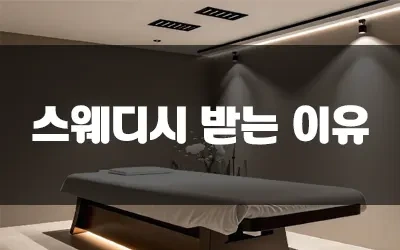 스웨디시_비싼이유.webp