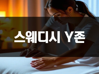 스웨디시_Y존.webp