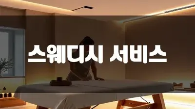 스웨디시 서비스 뜻 궁금하셨죠?!