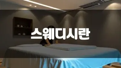 스웨디시란 무엇일까요?