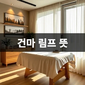 건마-림프-뜻 (2).webp